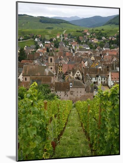 View over the Village of Riquewihr and Vineyards in the Wine Route Area, Alsace, France, Europe-Yadid Levy-Mounted Photographic Print
