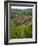 View over the Village of Riquewihr and Vineyards in the Wine Route Area, Alsace, France, Europe-Yadid Levy-Framed Photographic Print