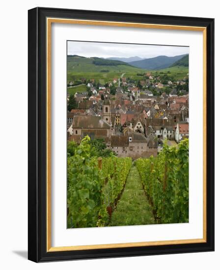 View over the Village of Riquewihr and Vineyards in the Wine Route Area, Alsace, France, Europe-Yadid Levy-Framed Photographic Print