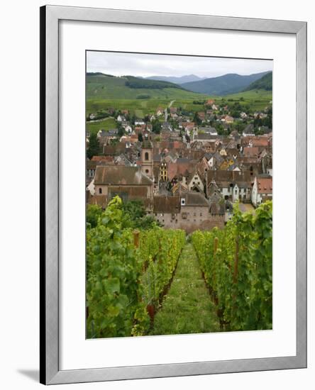 View over the Village of Riquewihr and Vineyards in the Wine Route Area, Alsace, France, Europe-Yadid Levy-Framed Photographic Print