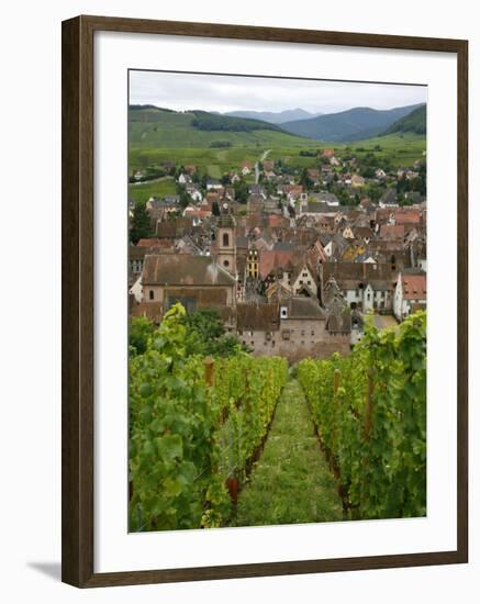 View over the Village of Riquewihr and Vineyards in the Wine Route Area, Alsace, France, Europe-Yadid Levy-Framed Photographic Print