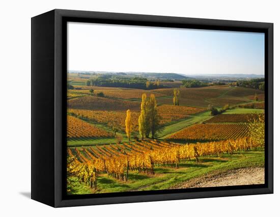 View Over the Vineyards in Bergerac, Chateau Belingard, Bergerac, Dordogne, France-Per Karlsson-Framed Premier Image Canvas