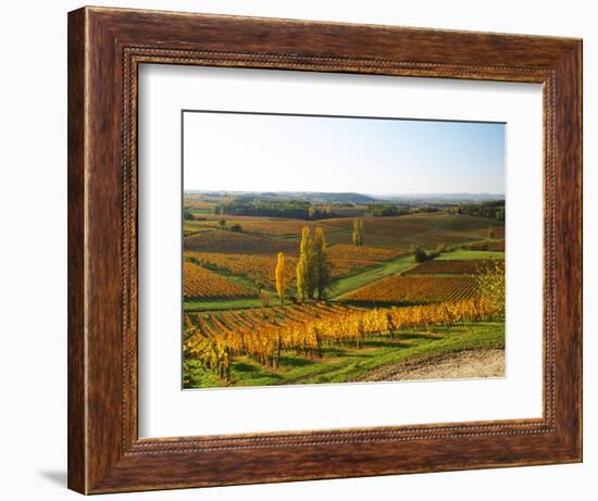 View Over the Vineyards in Bergerac, Chateau Belingard, Bergerac, Dordogne, France-Per Karlsson-Framed Photographic Print