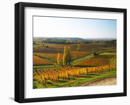 View Over the Vineyards in Bergerac, Chateau Belingard, Bergerac, Dordogne, France-Per Karlsson-Framed Photographic Print