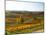 View Over the Vineyards in Bergerac, Chateau Belingard, Bergerac, Dordogne, France-Per Karlsson-Mounted Photographic Print