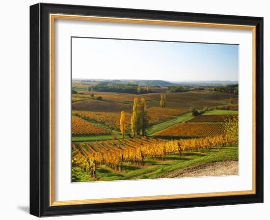 View Over the Vineyards in Bergerac, Chateau Belingard, Bergerac, Dordogne, France-Per Karlsson-Framed Photographic Print