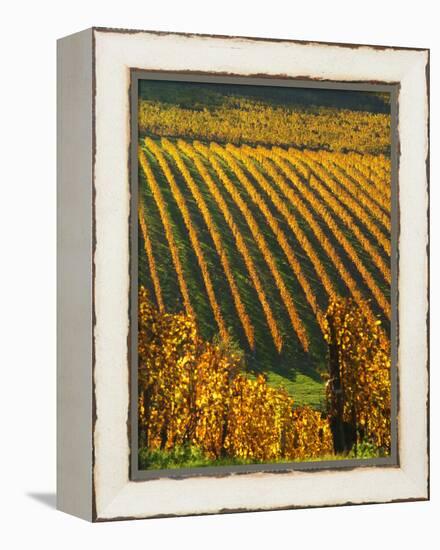 View Over the Vineyards in Bergerac, Chateau Belingard, Bergerac, Dordogne, France-Per Karlsson-Framed Premier Image Canvas