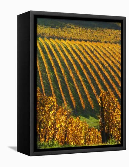 View Over the Vineyards in Bergerac, Chateau Belingard, Bergerac, Dordogne, France-Per Karlsson-Framed Premier Image Canvas