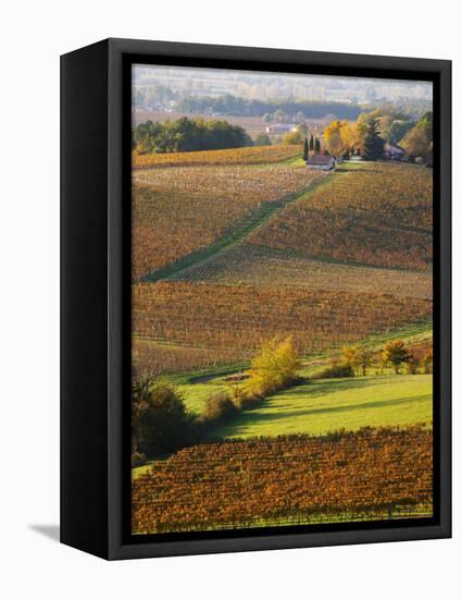 View Over the Vineyards in Bergerac, Chateau Belingard, Bergerac, Dordogne, France-Per Karlsson-Framed Premier Image Canvas