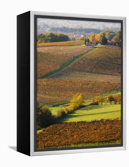 View Over the Vineyards in Bergerac, Chateau Belingard, Bergerac, Dordogne, France-Per Karlsson-Framed Premier Image Canvas