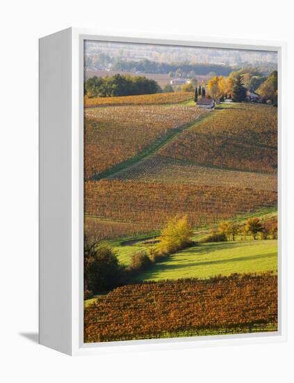 View Over the Vineyards in Bergerac, Chateau Belingard, Bergerac, Dordogne, France-Per Karlsson-Framed Premier Image Canvas