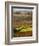 View Over the Vineyards in Bergerac, Chateau Belingard, Bergerac, Dordogne, France-Per Karlsson-Framed Photographic Print