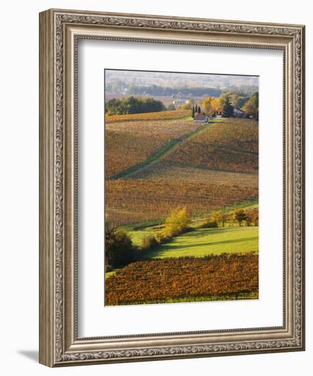 View Over the Vineyards in Bergerac, Chateau Belingard, Bergerac, Dordogne, France-Per Karlsson-Framed Photographic Print