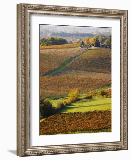 View Over the Vineyards in Bergerac, Chateau Belingard, Bergerac, Dordogne, France-Per Karlsson-Framed Photographic Print