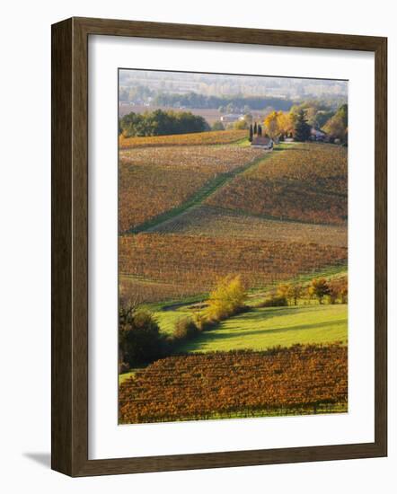 View Over the Vineyards in Bergerac, Chateau Belingard, Bergerac, Dordogne, France-Per Karlsson-Framed Photographic Print