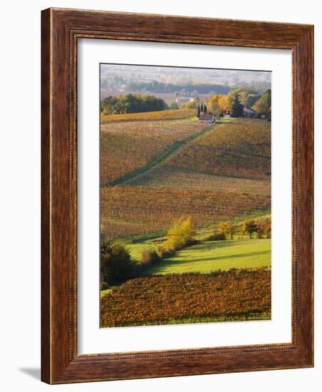 View Over the Vineyards in Bergerac, Chateau Belingard, Bergerac, Dordogne, France-Per Karlsson-Framed Photographic Print