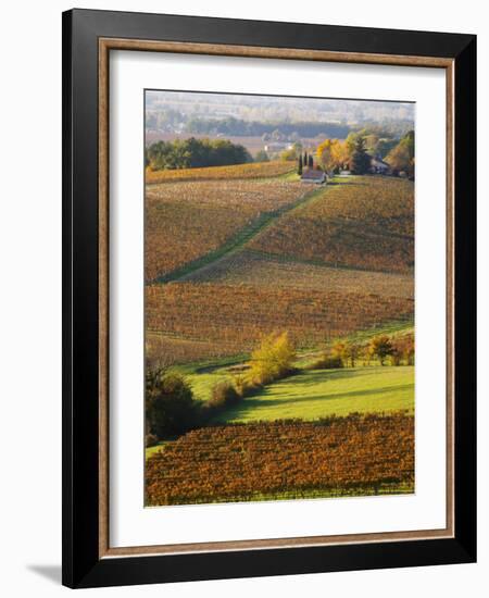 View Over the Vineyards in Bergerac, Chateau Belingard, Bergerac, Dordogne, France-Per Karlsson-Framed Photographic Print