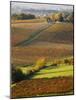 View Over the Vineyards in Bergerac, Chateau Belingard, Bergerac, Dordogne, France-Per Karlsson-Mounted Photographic Print