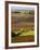 View Over the Vineyards in Bergerac, Chateau Belingard, Bergerac, Dordogne, France-Per Karlsson-Framed Photographic Print