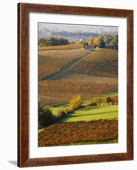 View Over the Vineyards in Bergerac, Chateau Belingard, Bergerac, Dordogne, France-Per Karlsson-Framed Photographic Print