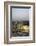 View over the Western Wall (Wailing Wall) and the Dome of the Rock Mosque, Jerusalem, Israel-Yadid Levy-Framed Photographic Print