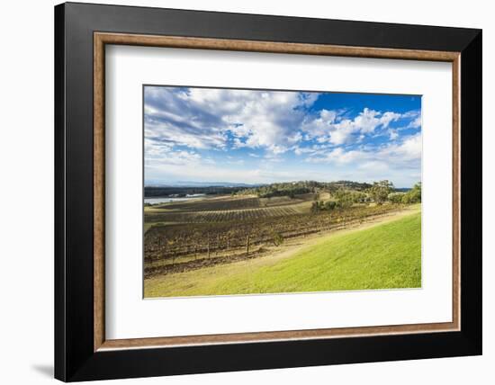 View over the wine region of the Hunter Valley, New South Wales, Australia, Pacific-Michael Runkel-Framed Photographic Print