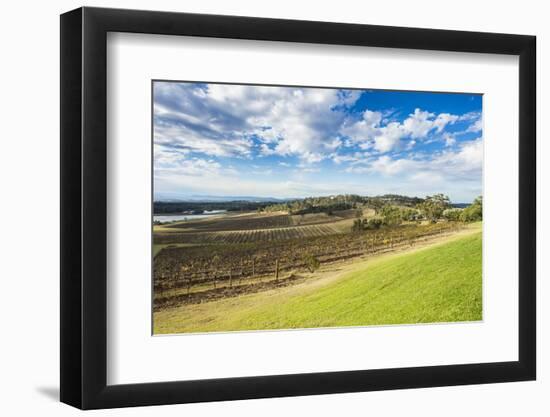 View over the wine region of the Hunter Valley, New South Wales, Australia, Pacific-Michael Runkel-Framed Photographic Print