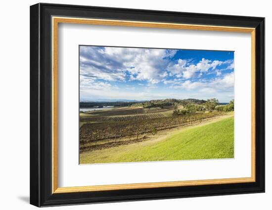 View over the wine region of the Hunter Valley, New South Wales, Australia, Pacific-Michael Runkel-Framed Photographic Print