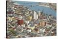 Stretched Canvas Print