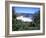 View Over Trees to Trbeach and Bushranger Bay, Mornington Peninsula, Victoria, Australia-Richard Nebesky-Framed Photographic Print