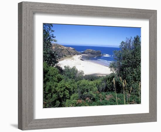 View Over Trees to Trbeach and Bushranger Bay, Mornington Peninsula, Victoria, Australia-Richard Nebesky-Framed Photographic Print