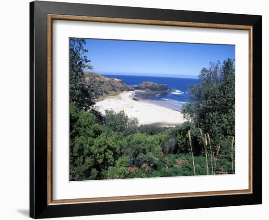 View Over Trees to Trbeach and Bushranger Bay, Mornington Peninsula, Victoria, Australia-Richard Nebesky-Framed Photographic Print