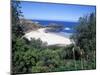 View Over Trees to Trbeach and Bushranger Bay, Mornington Peninsula, Victoria, Australia-Richard Nebesky-Mounted Photographic Print