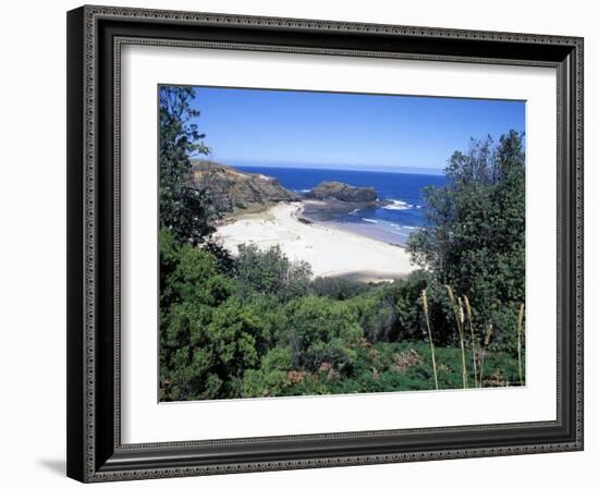 View Over Trees to Trbeach and Bushranger Bay, Mornington Peninsula, Victoria, Australia-Richard Nebesky-Framed Photographic Print