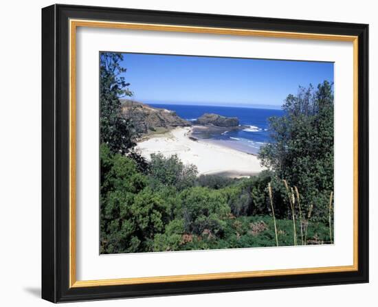 View Over Trees to Trbeach and Bushranger Bay, Mornington Peninsula, Victoria, Australia-Richard Nebesky-Framed Photographic Print