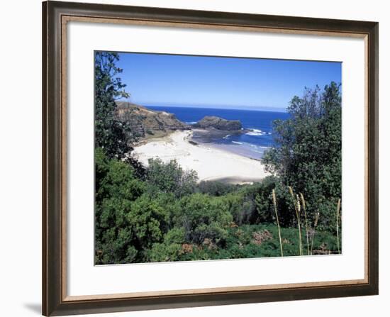 View Over Trees to Trbeach and Bushranger Bay, Mornington Peninsula, Victoria, Australia-Richard Nebesky-Framed Photographic Print