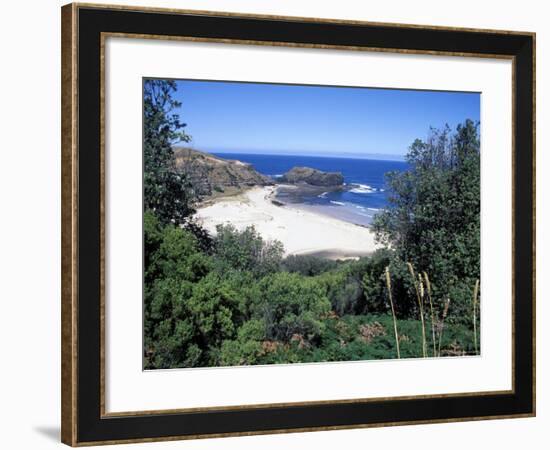 View Over Trees to Trbeach and Bushranger Bay, Mornington Peninsula, Victoria, Australia-Richard Nebesky-Framed Photographic Print