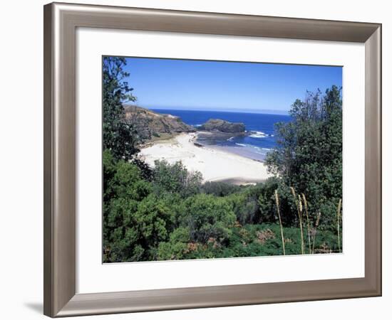 View Over Trees to Trbeach and Bushranger Bay, Mornington Peninsula, Victoria, Australia-Richard Nebesky-Framed Photographic Print