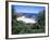 View Over Trees to Trbeach and Bushranger Bay, Mornington Peninsula, Victoria, Australia-Richard Nebesky-Framed Photographic Print