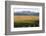 View over typical vineyard in the Wairau Valley, early morning, Renwick, near Blenheim, Marlborough-Ruth Tomlinson-Framed Photographic Print