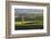 View over typical vineyards in the Wairau Valley, early morning, Renwick, near Blenheim, Marlboroug-Ruth Tomlinson-Framed Photographic Print