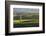 View over typical vineyards in the Wairau Valley, early morning, Renwick, near Blenheim, Marlboroug-Ruth Tomlinson-Framed Photographic Print