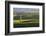 View over typical vineyards in the Wairau Valley, early morning, Renwick, near Blenheim, Marlboroug-Ruth Tomlinson-Framed Photographic Print