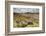 View over Upland Moorland Landscape, Cambrian Mountains, Ceredigion, Wales, May-Peter Cairns-Framed Photographic Print