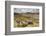 View over Upland Moorland Landscape, Cambrian Mountains, Ceredigion, Wales, May-Peter Cairns-Framed Photographic Print