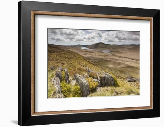 View over Upland Moorland Landscape, Cambrian Mountains, Ceredigion, Wales, May-Peter Cairns-Framed Photographic Print