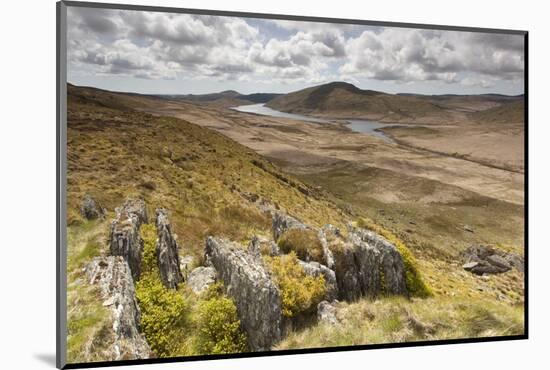 View over Upland Moorland Landscape, Cambrian Mountains, Ceredigion, Wales, May-Peter Cairns-Mounted Photographic Print