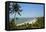 View over Vagator Beach, Goa, India, Asia-Yadid Levy-Framed Premier Image Canvas