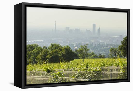 View over Vienna of the Cobenzl, Vineyard Cobenzl, Vienna, Austria-Rainer Mirau-Framed Premier Image Canvas