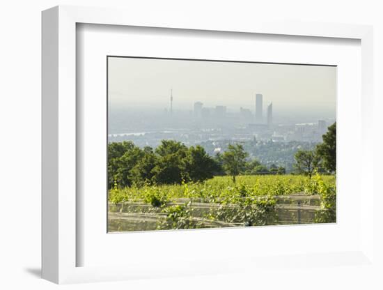 View over Vienna of the Cobenzl, Vineyard Cobenzl, Vienna, Austria-Rainer Mirau-Framed Photographic Print